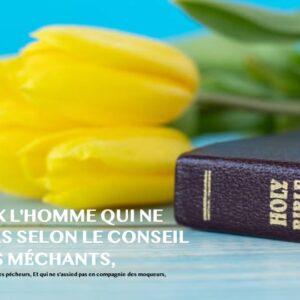 HEUREUX L’HOMME QUI NE MARCHE PAS SELON LE CONSEIL DES MÉCHANTS