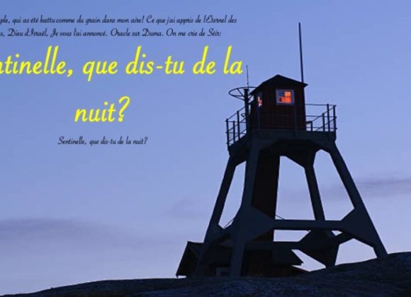 SENTINELLE QUE DIS-TU DE LA NUIT ?